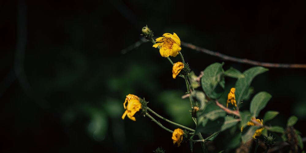 Photograph by Данил Баглаев