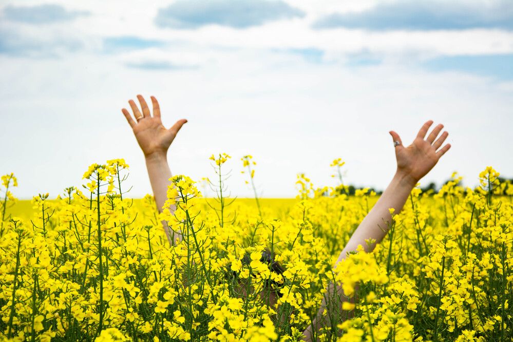 Photograph by Данил Баглаев