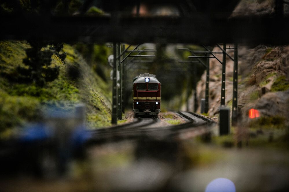 Photograph by Данил Баглаев