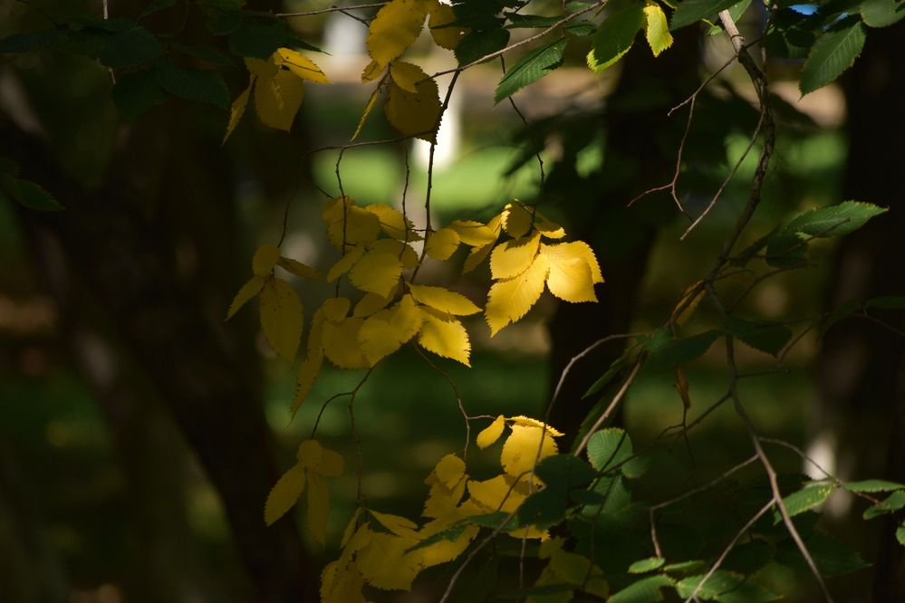 Photograph by Kanat Amre