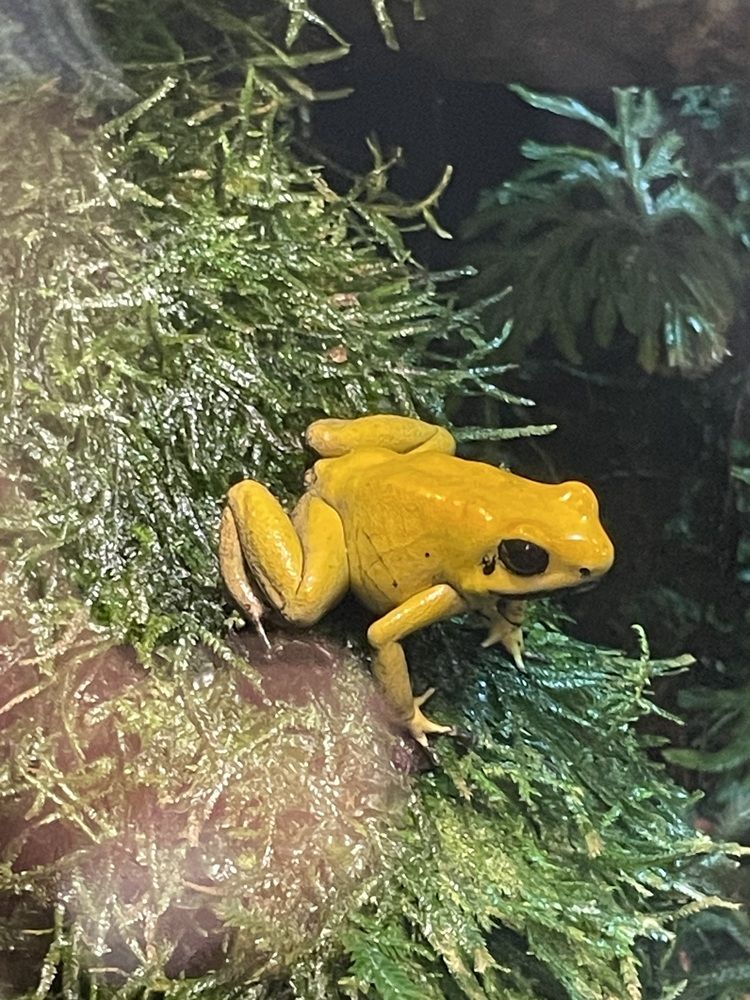 Photograph by марина