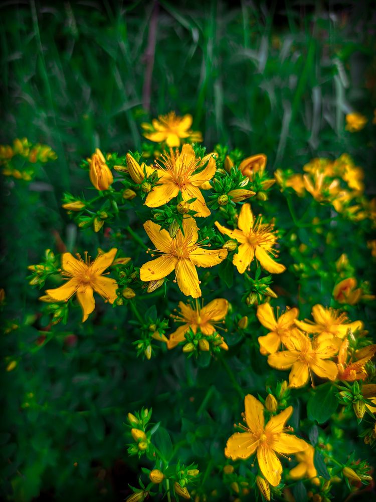 Фотография автора Александр Хухлов