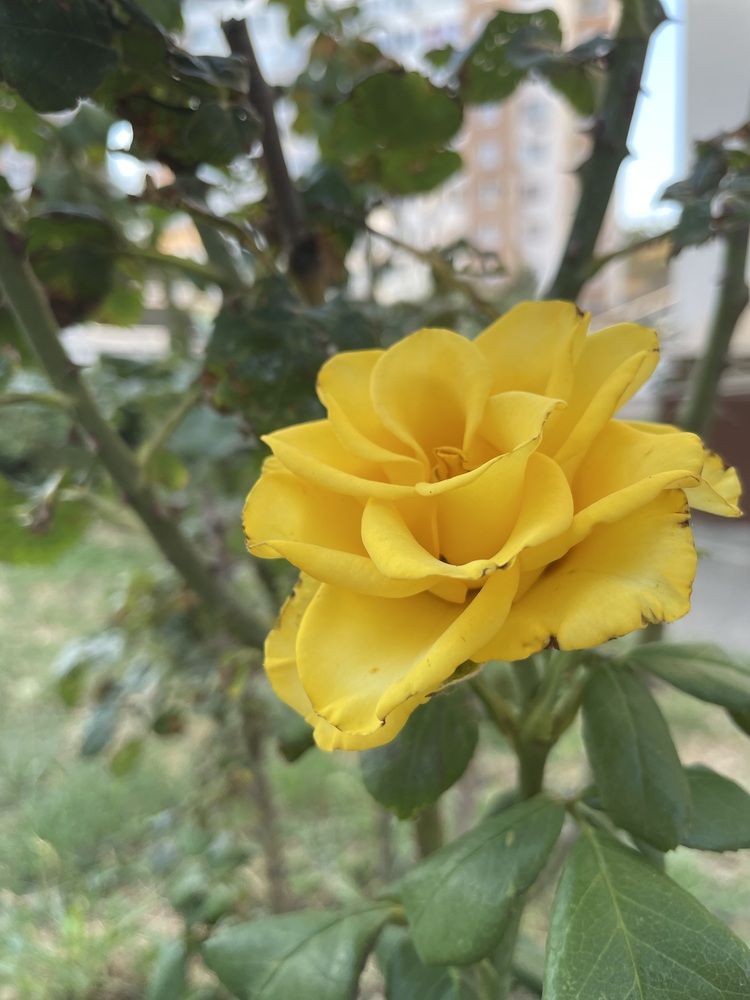 Photograph by марина