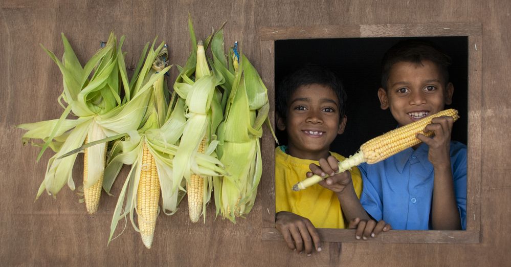 Фотография автора Nilanjan Saha