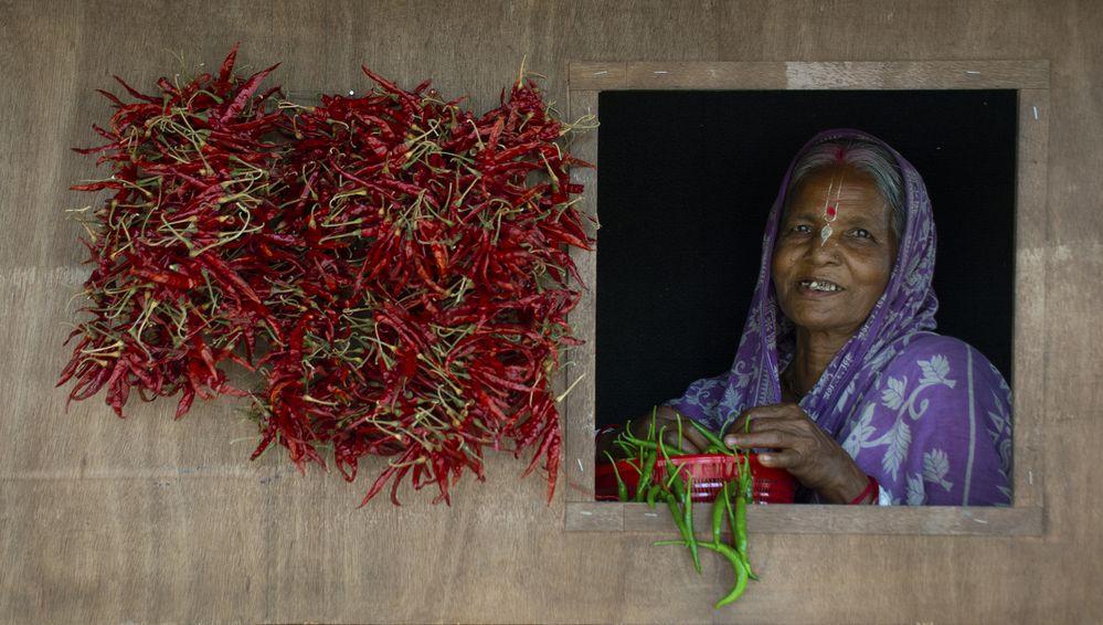 Фотография автора Nilanjan Saha