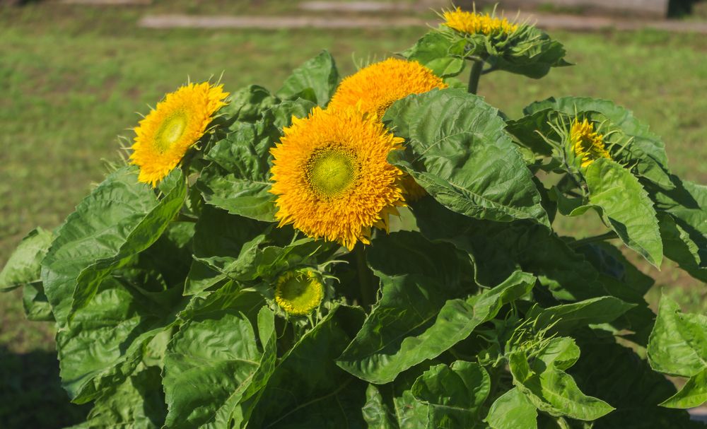 Фотография автора Владимир Каштанов