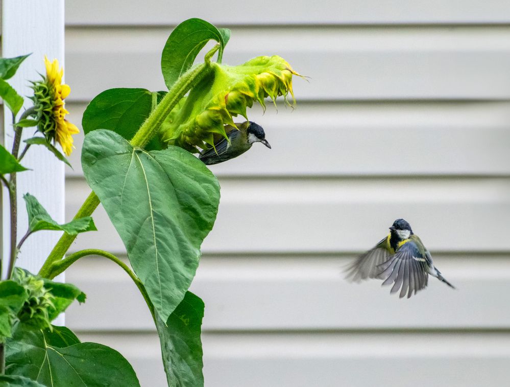 Photograph by Margarita