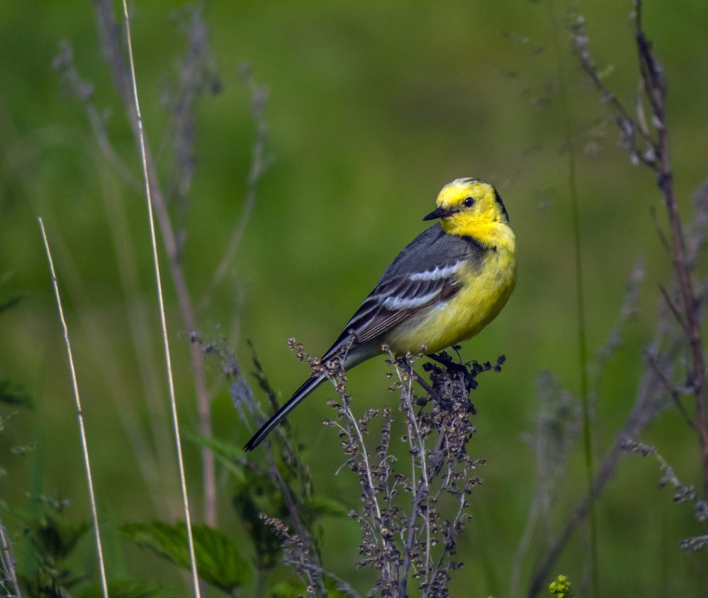 Photograph by Цветков Сергей