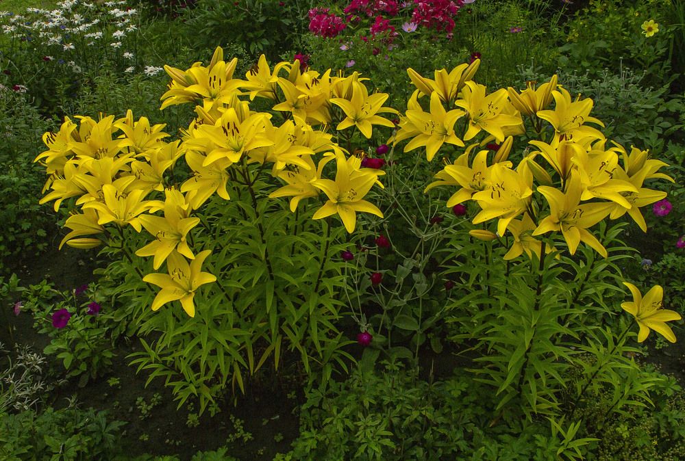 Photograph by Цветков Сергей