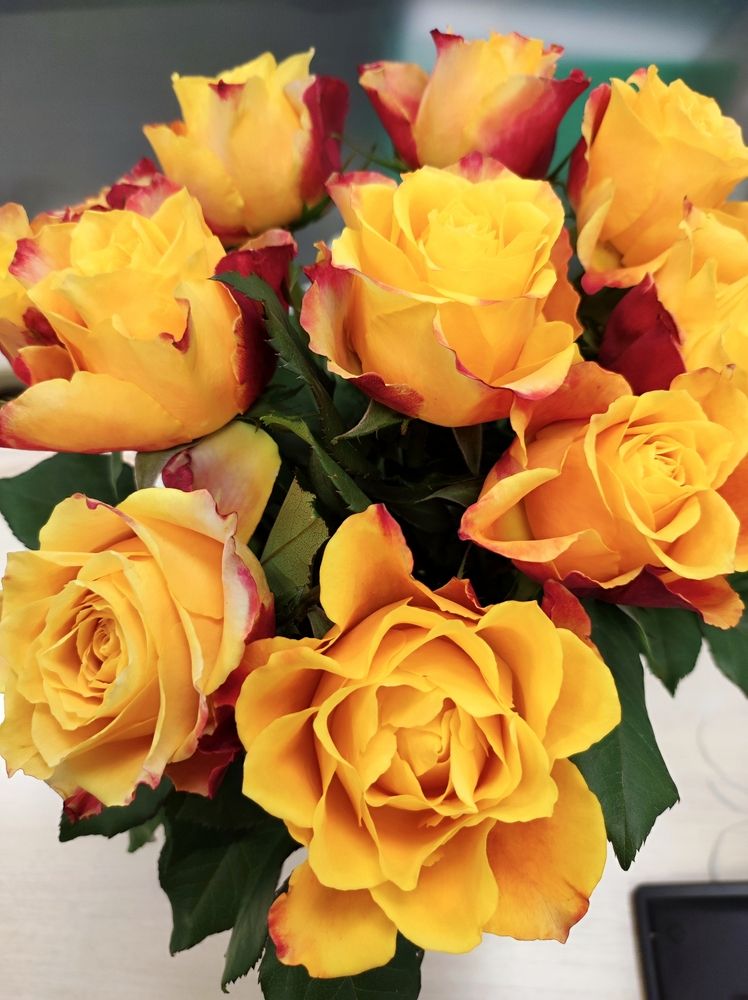 Photograph by Надежда