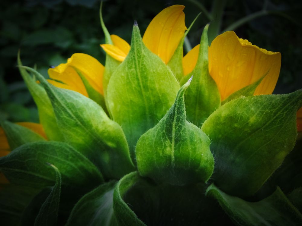 Photograph by Татьяна Романова