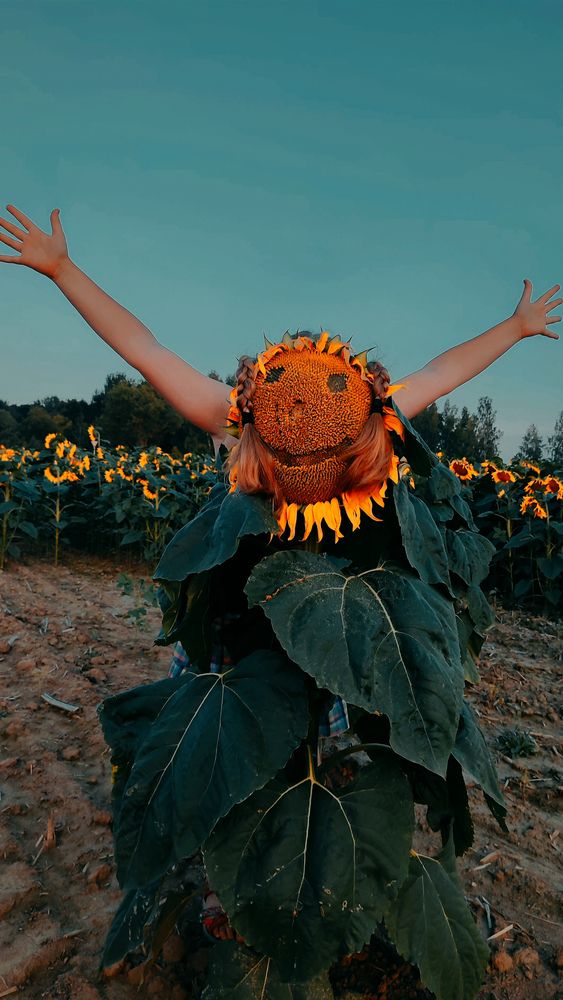 Фотография автора Aamoda Kitchen