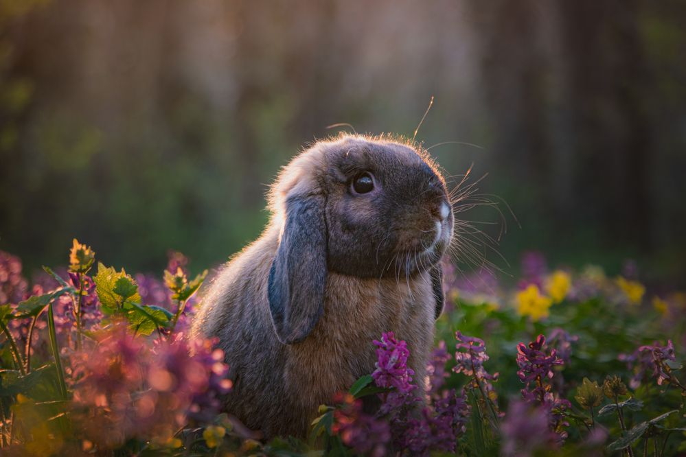 It\'s spring time