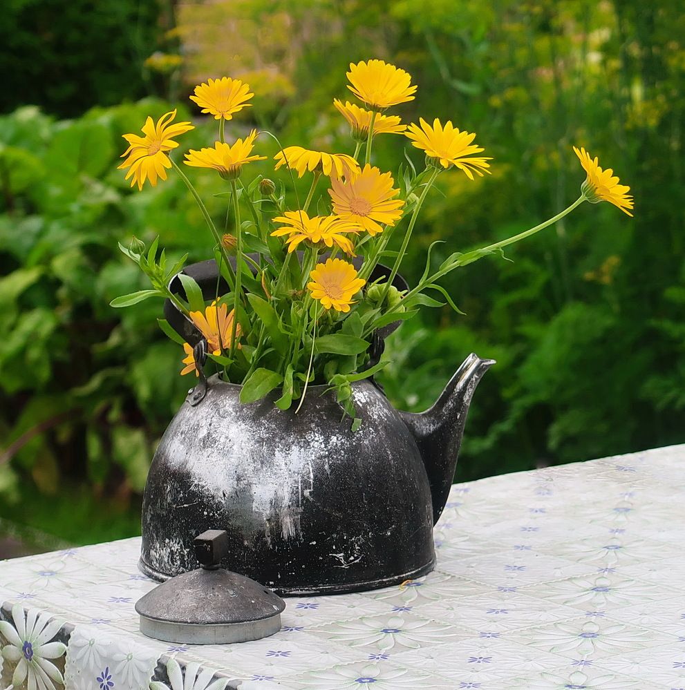 Photograph by Нина