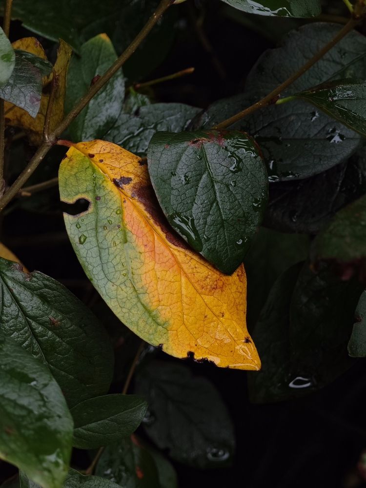 Photograph by Карина Лебедева