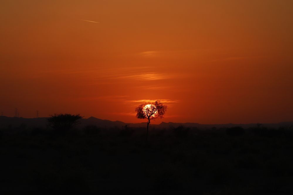 Photograph by Amir hossein Khorgooei