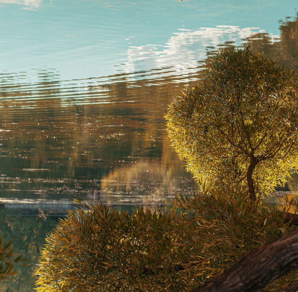 Photograph by Юлия Александровна