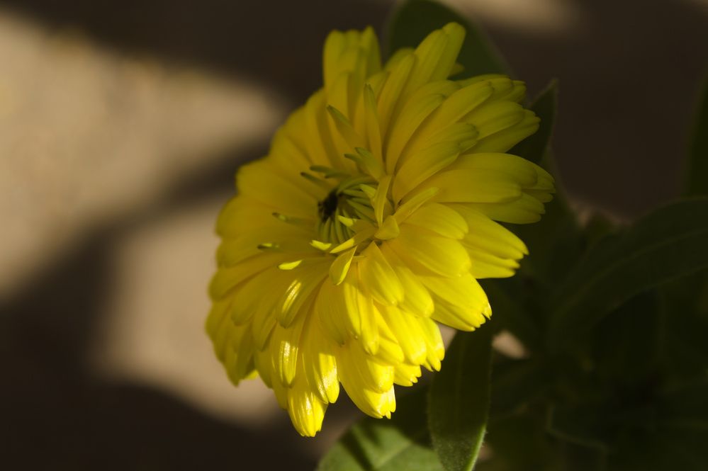 Photograph by Guillermo Topp