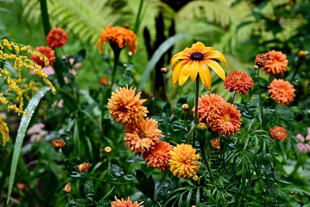 Photograph by Елена Масленникова