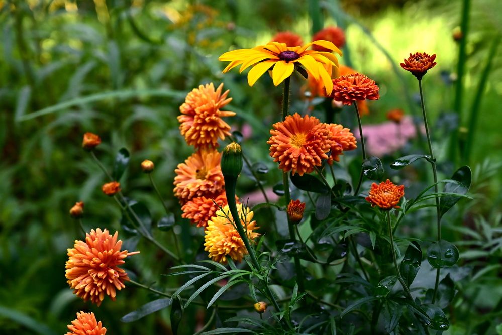 Photograph by Елена Масленникова