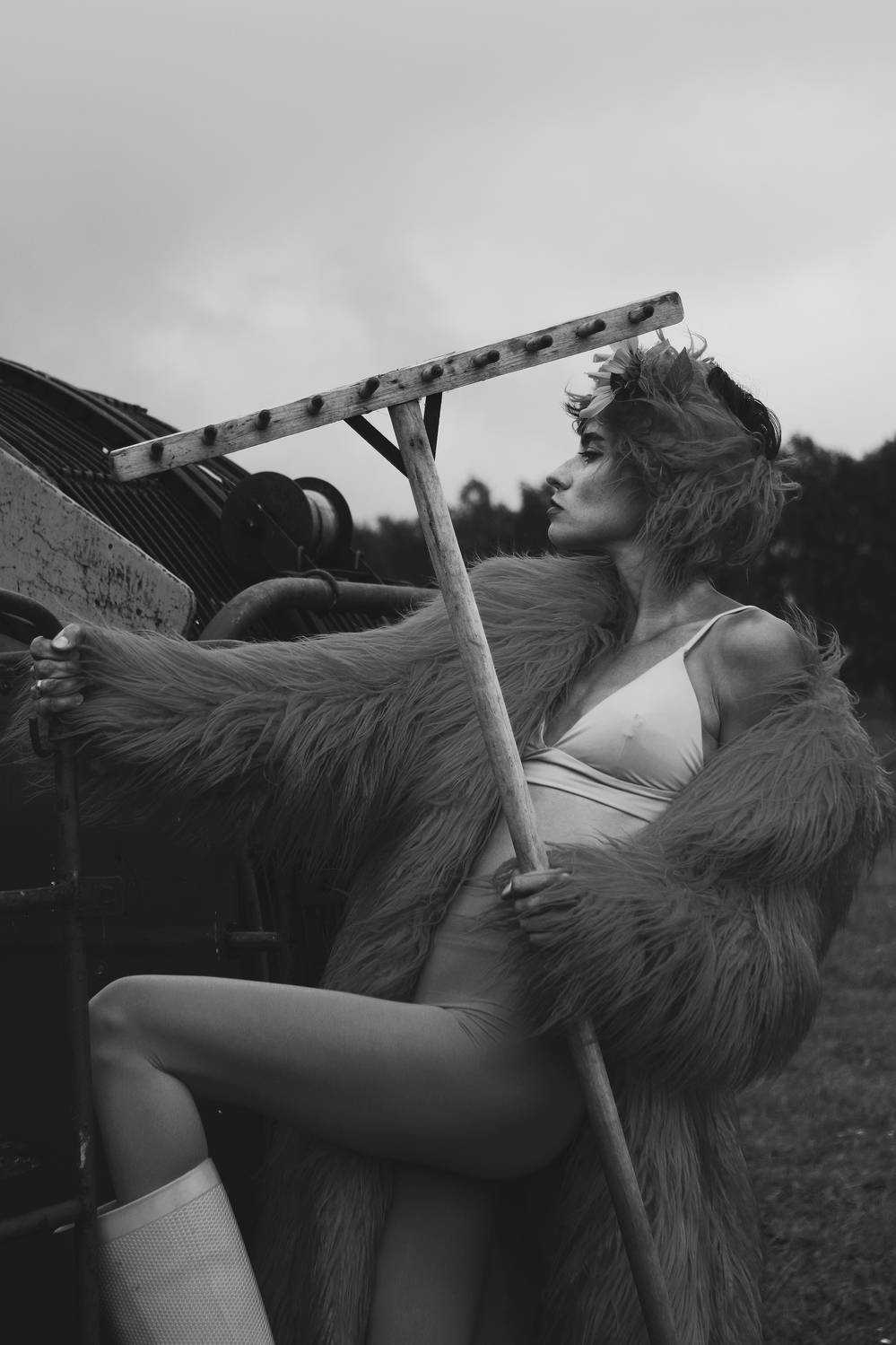 Photo #12607870
