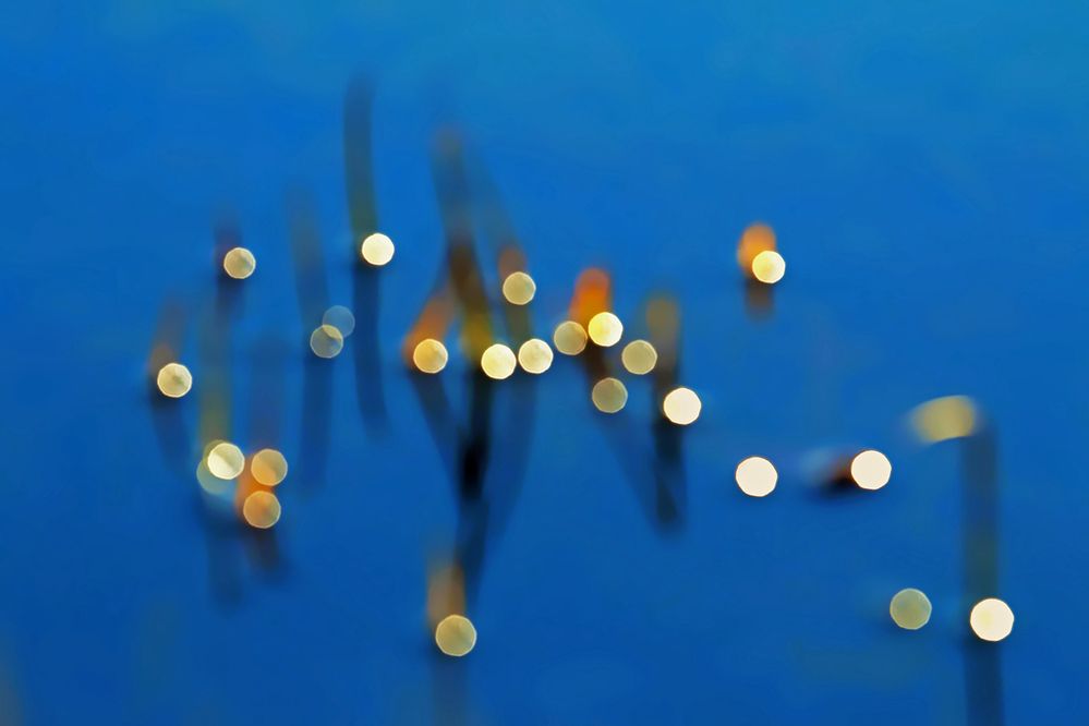 Reflections in nature