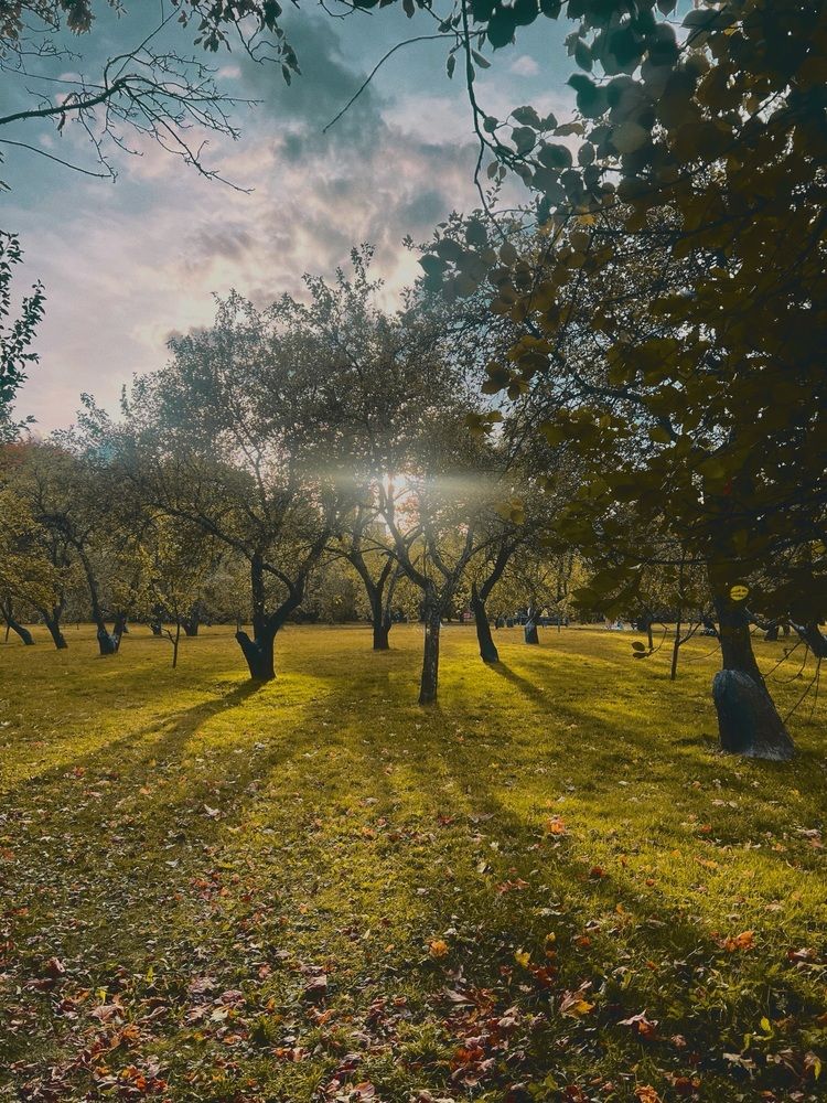 Photograph by Оксана