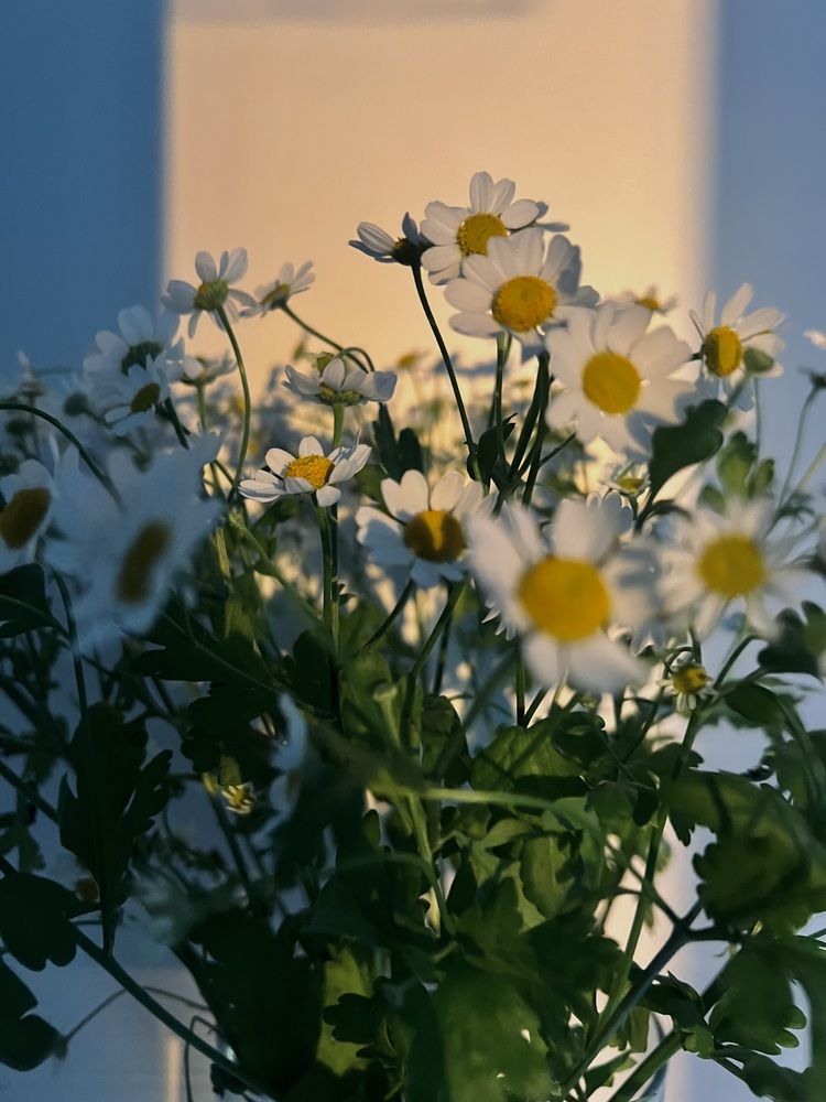 Photograph by Оксана