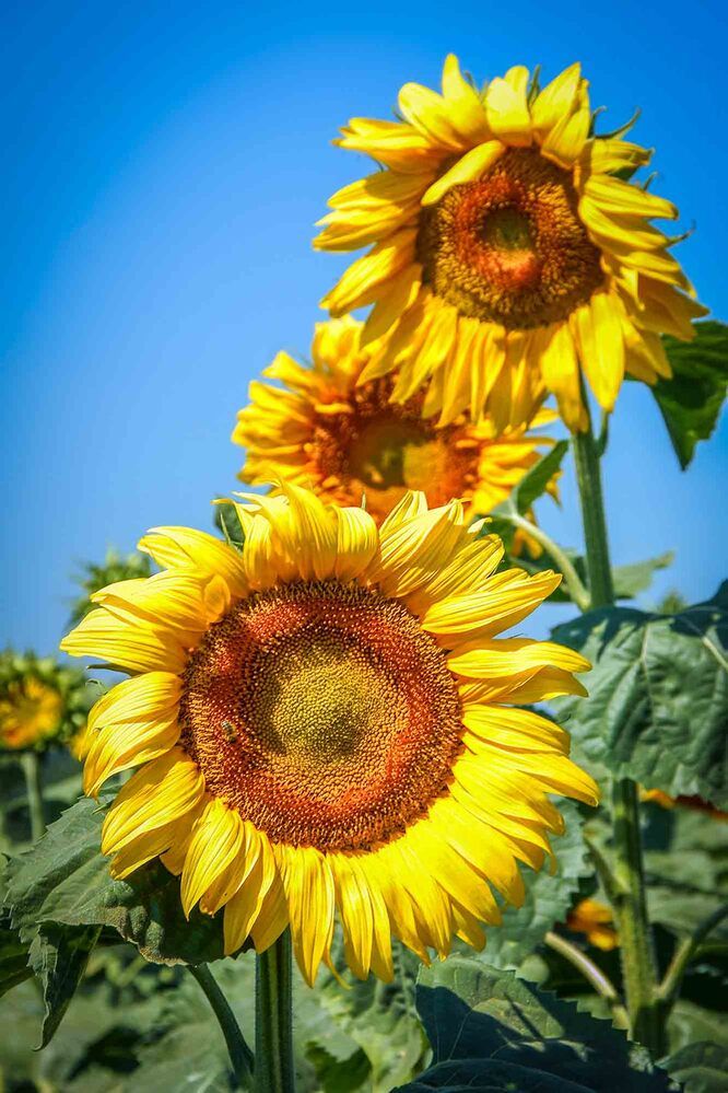 Photograph by Евгений Киселев