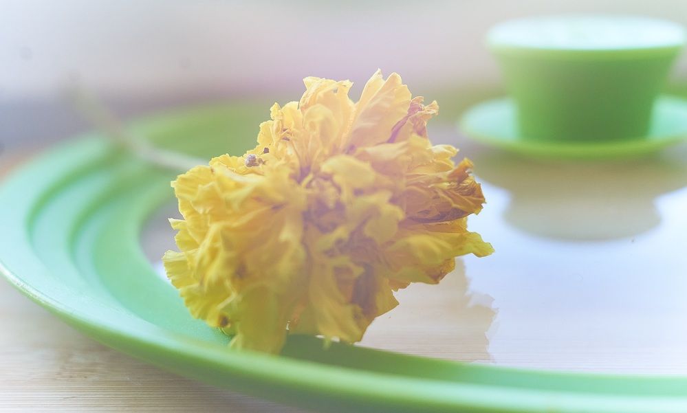 Photograph by Михаил Шевцов