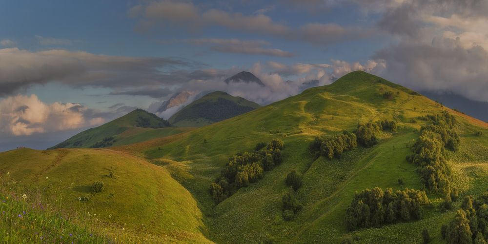 Летний Актопрак