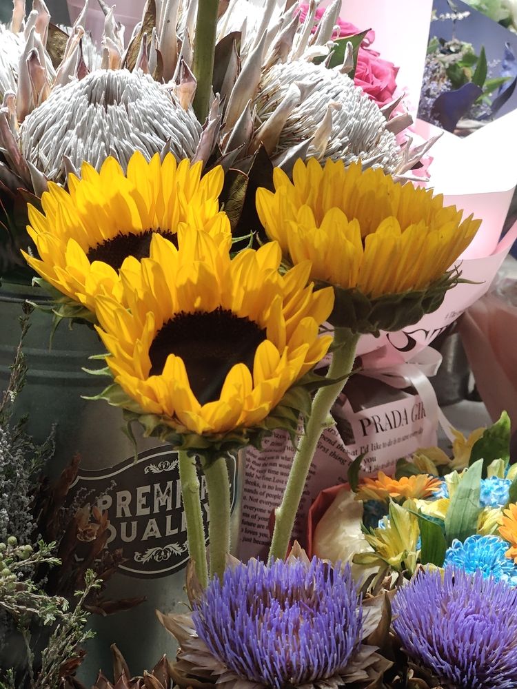 Photograph by Olena Chertous