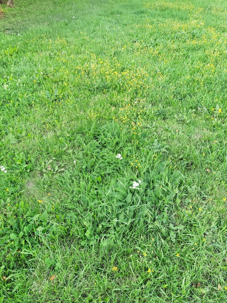 Photograph by Виталий Кореньков