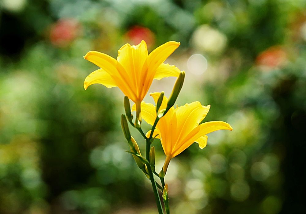 Photograph by Татьяна Слесарева