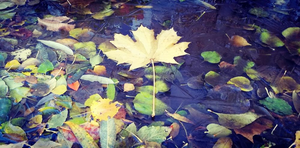 Photograph by Лариса Неудачина