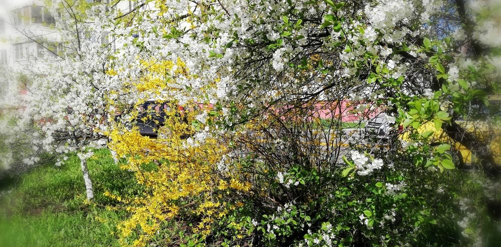 Photograph by Лариса Неудачина