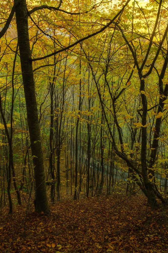 Photograph by Samvel Sargsyan