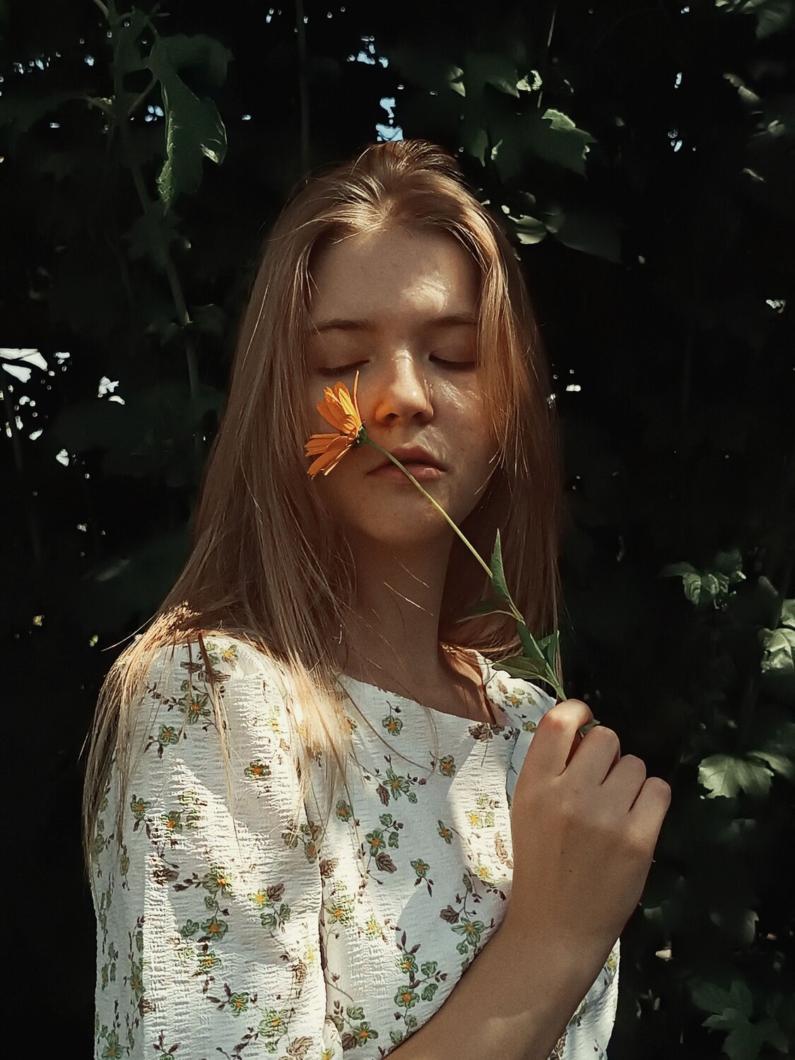 Photo #12608234