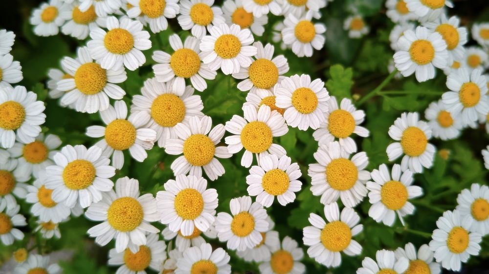 Photograph by Nikita Ostarkov