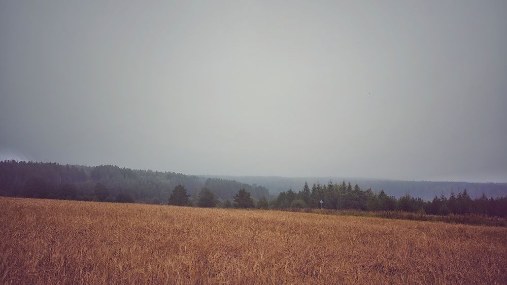 Photograph by Nikita Ostarkov