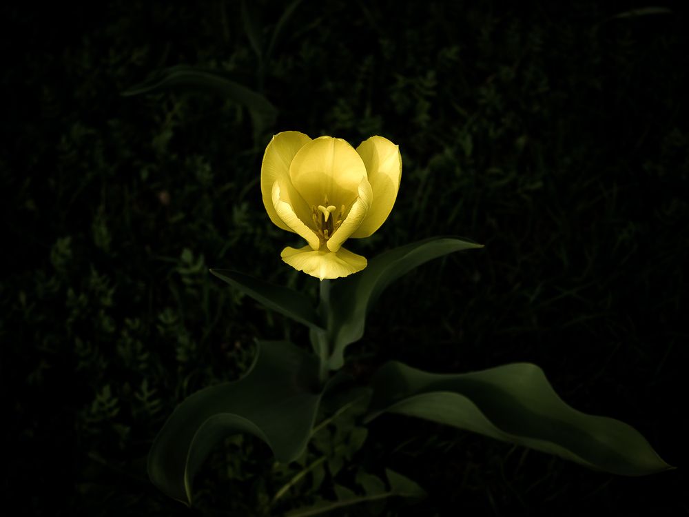 Photograph by Елена Берсенёва