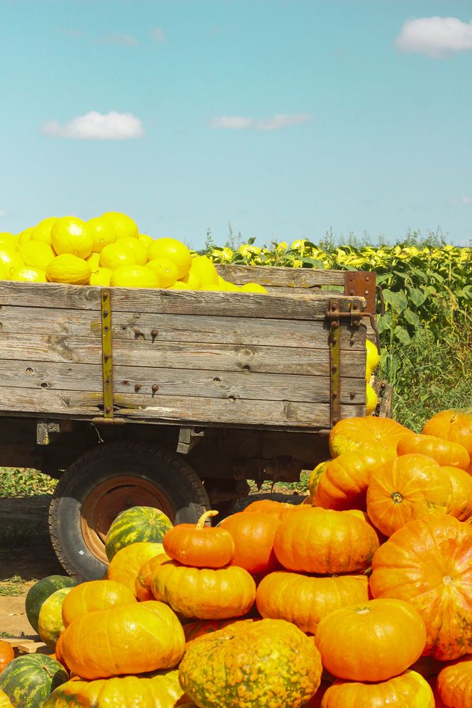 Photograph by Natalia Safronova