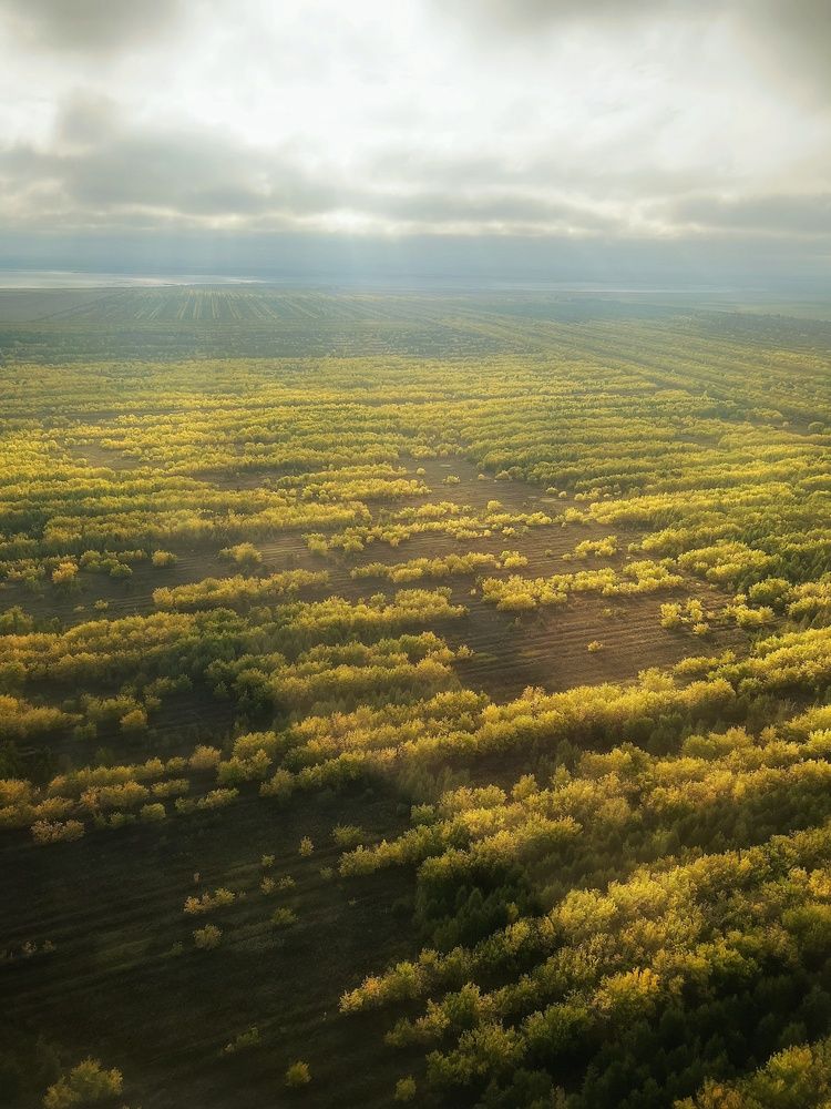 Photograph by Margarita Malkova
