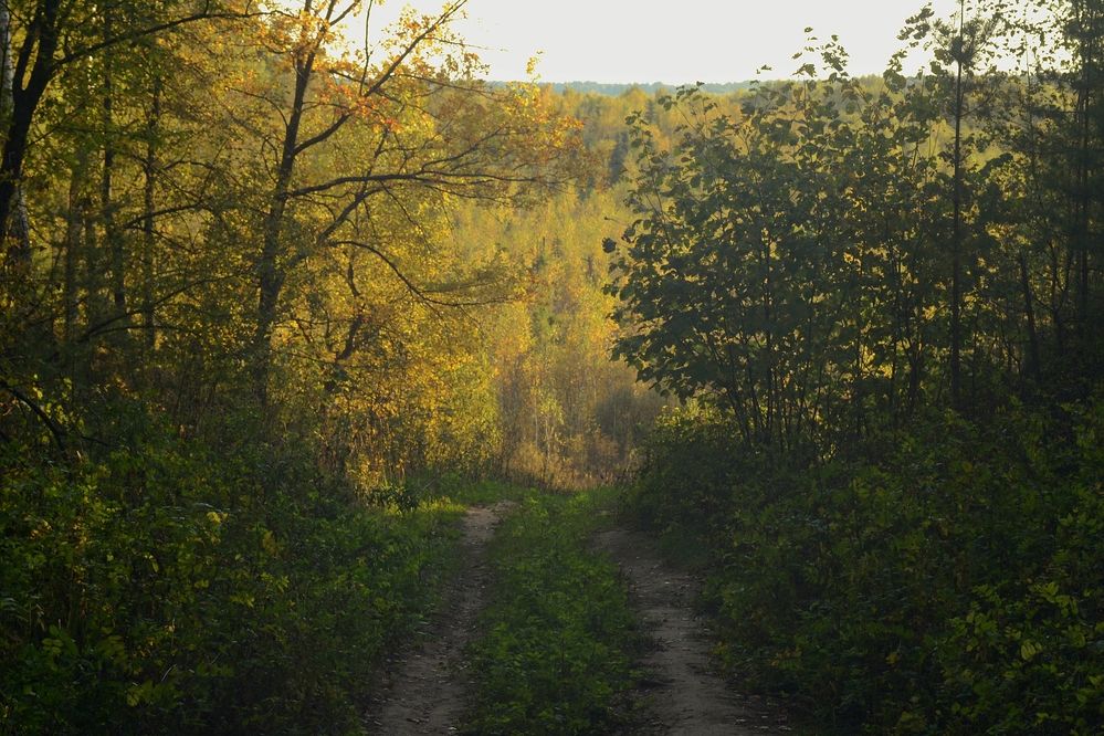 Photograph by Денис Хасанов