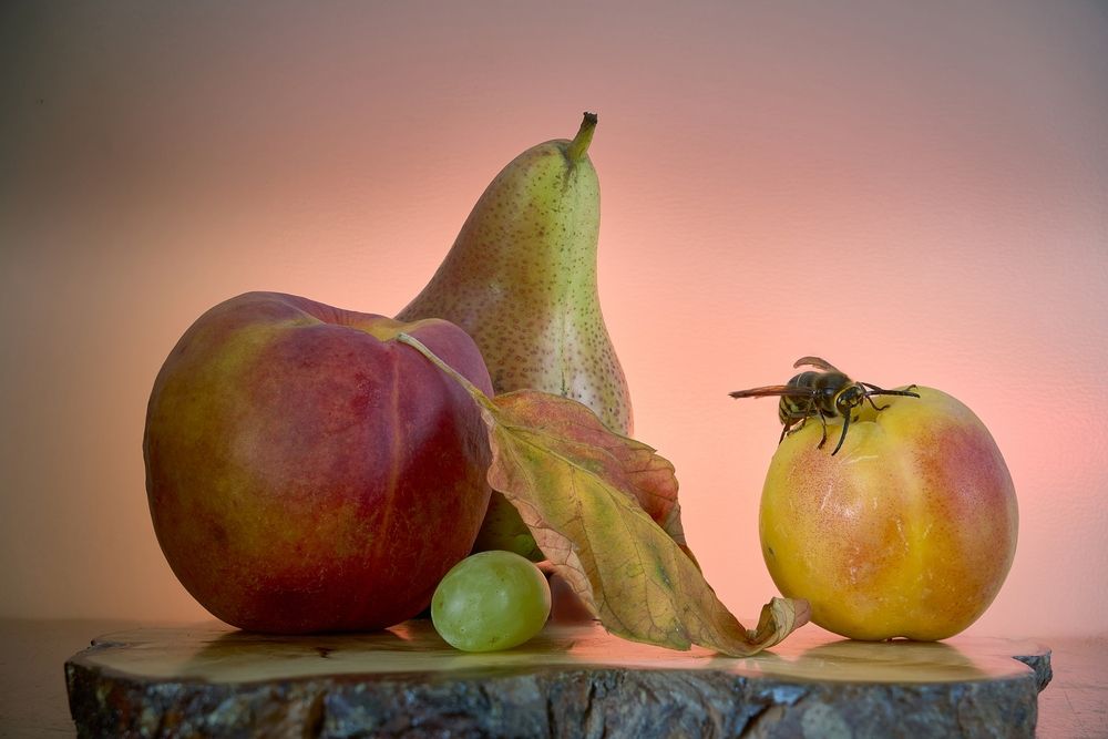 Photograph by Владимир