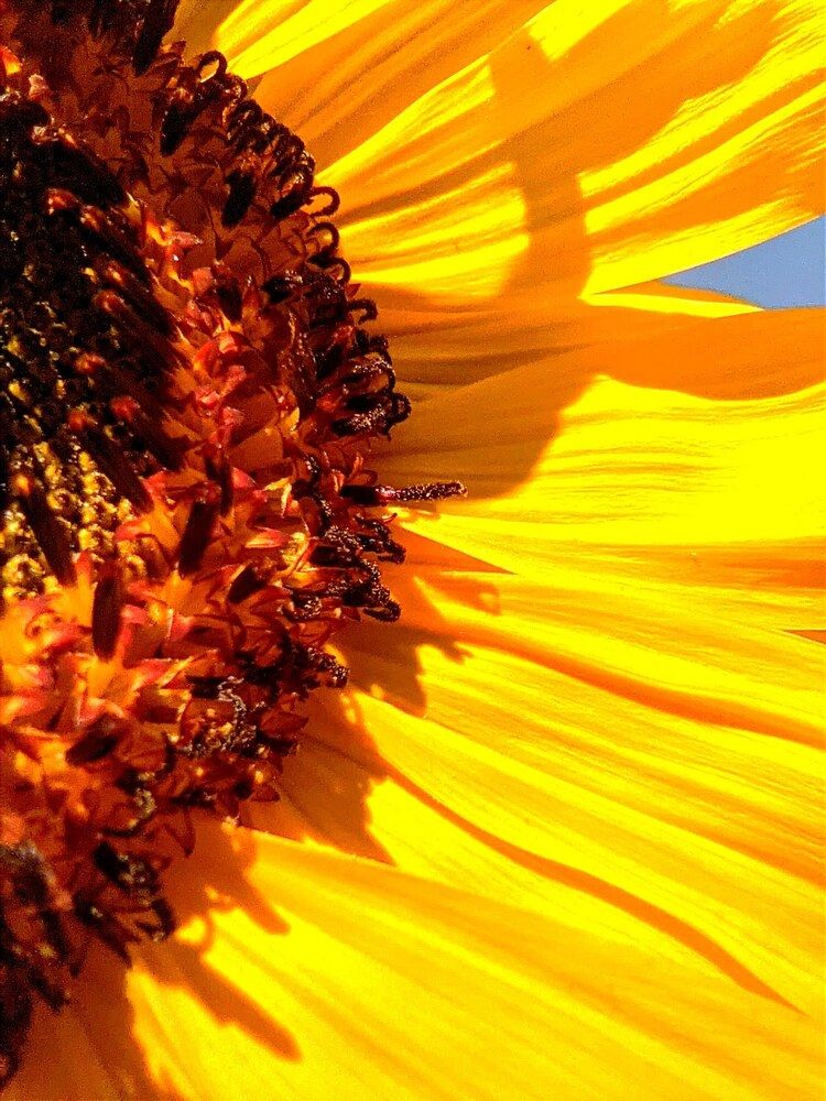 Photograph by Денис Хасанов