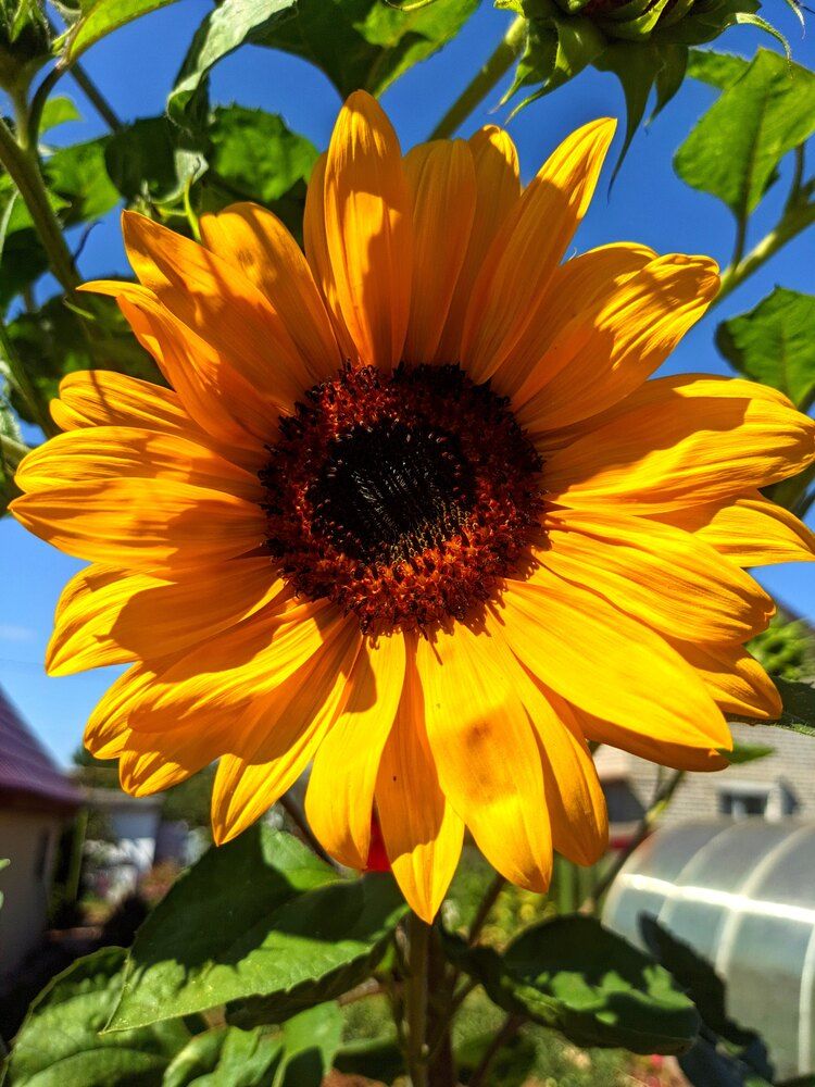 Photograph by Денис Хасанов