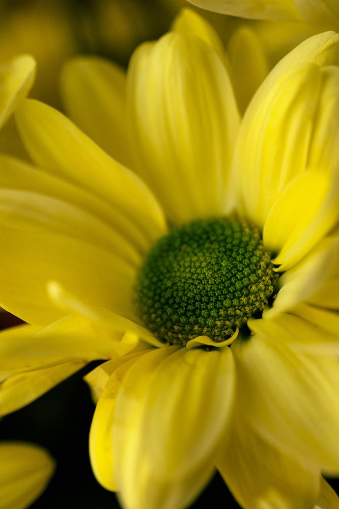 Photograph by Остапенко Алина