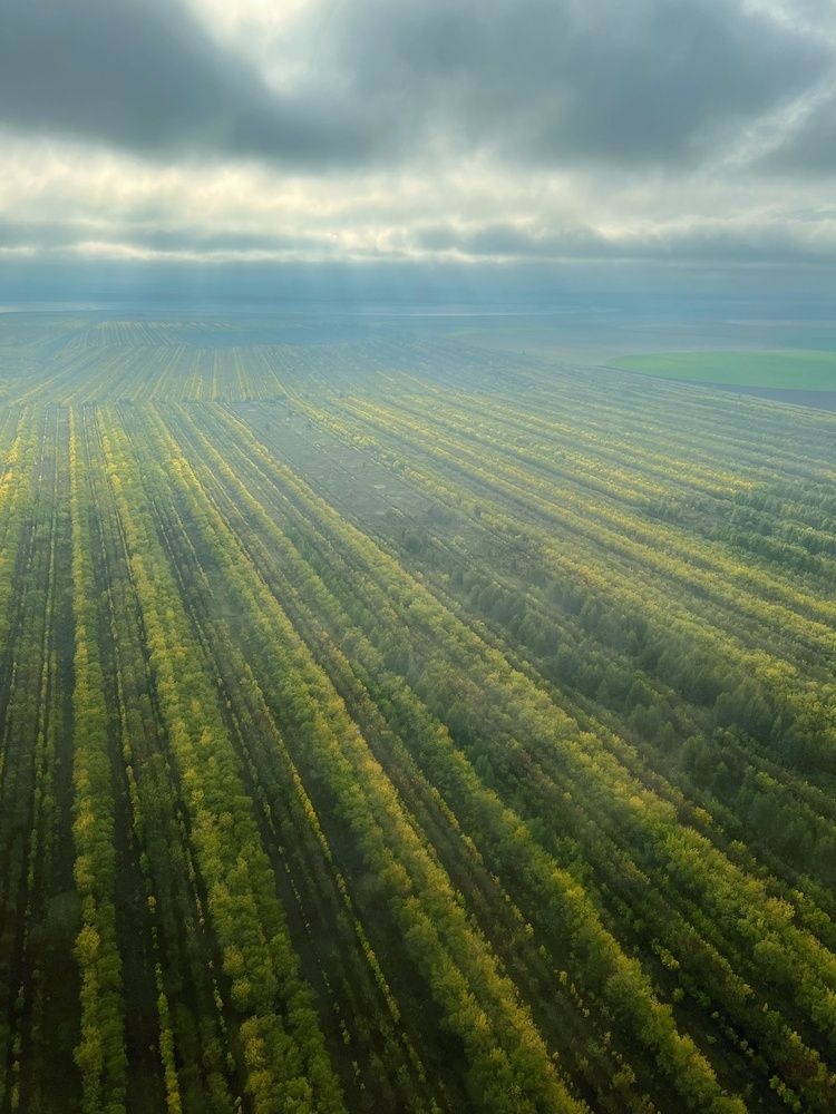 Photograph by Margarita Malkova