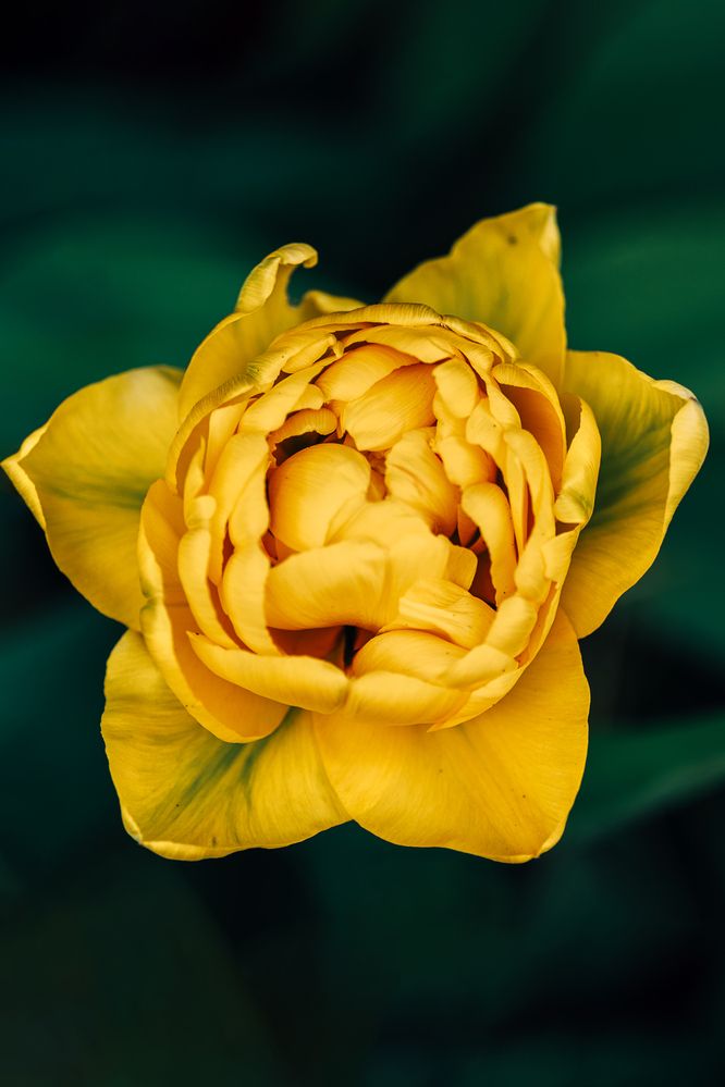 Photograph by Остапенко Алина